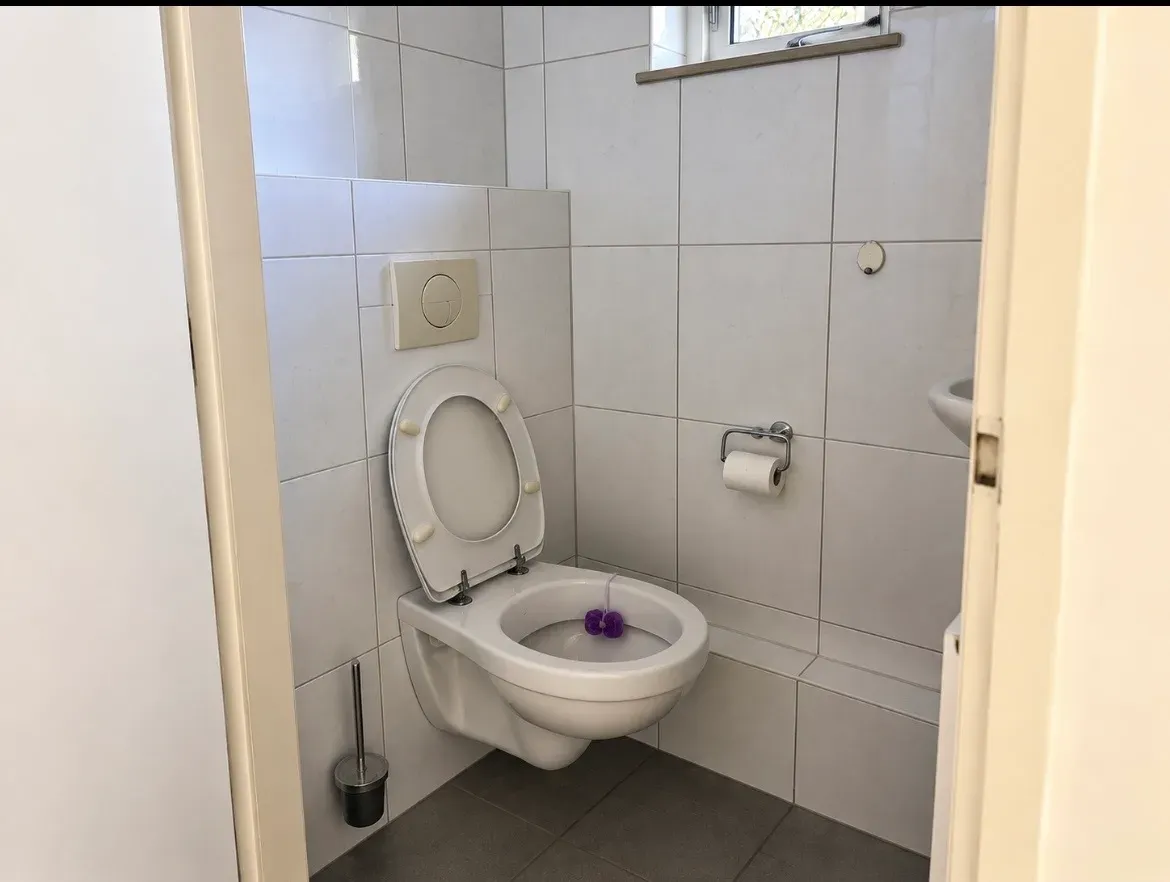 Toilet compleet opgefrist en afgewerkt — voor